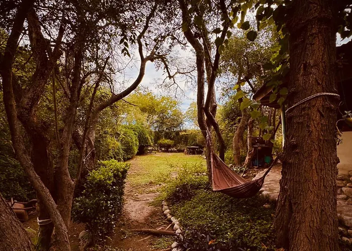 Habitacion Con Bano Privado En Casa Ecologica A 700 Mts De La Plaza