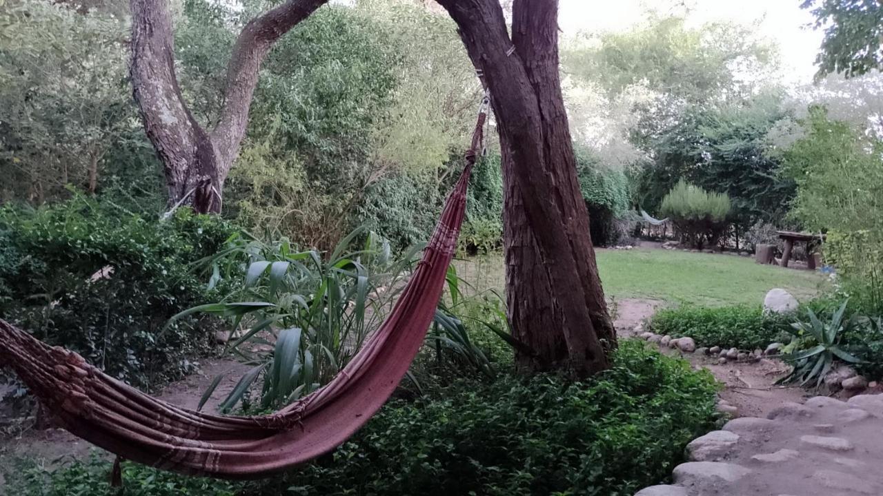 Homestay Con Bano Privado En Casa Ecologica A 700 Mts De La Plaza Villa Las Rosas